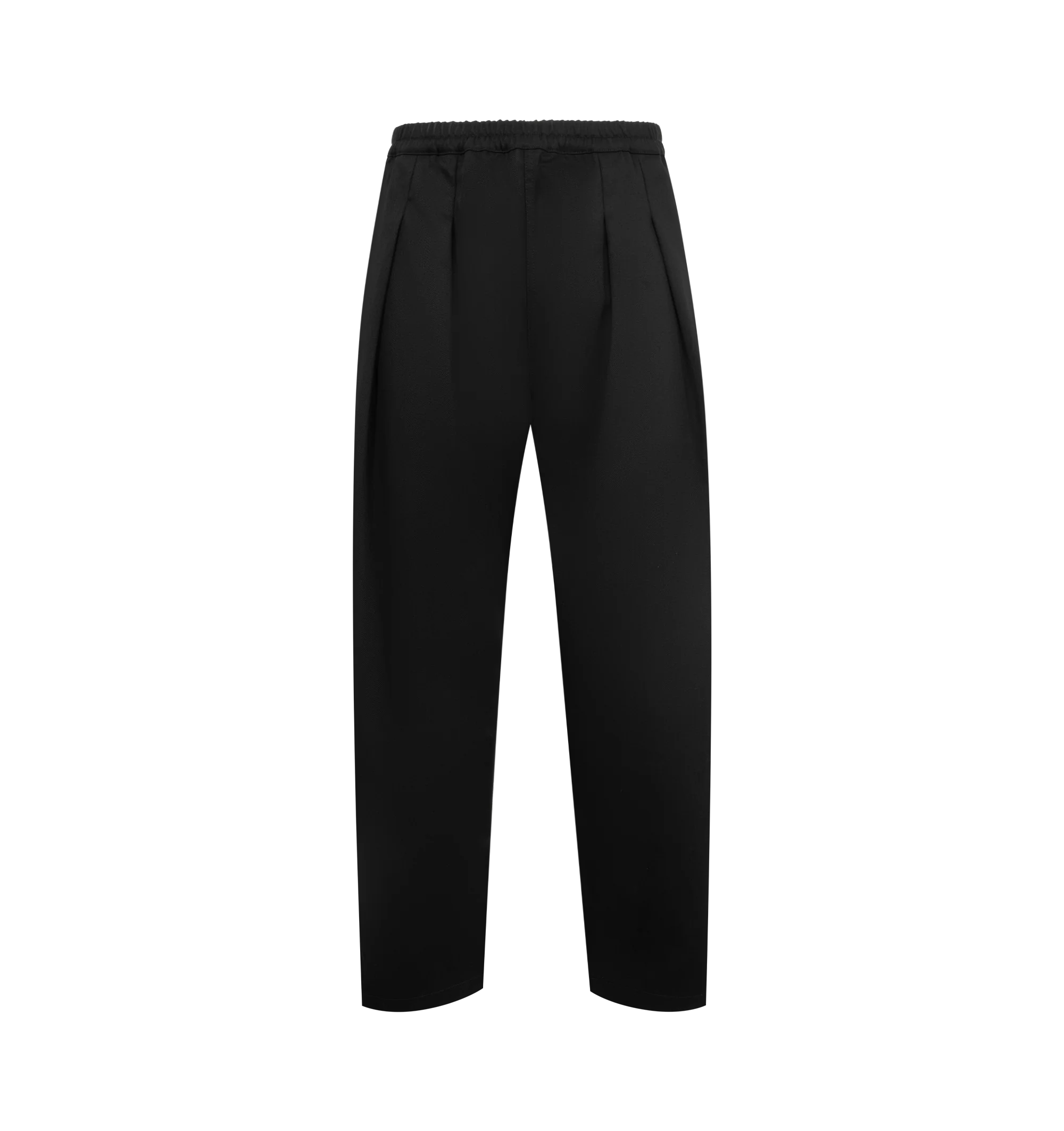 PLEATED WIDE LEG PANTS (MENS)