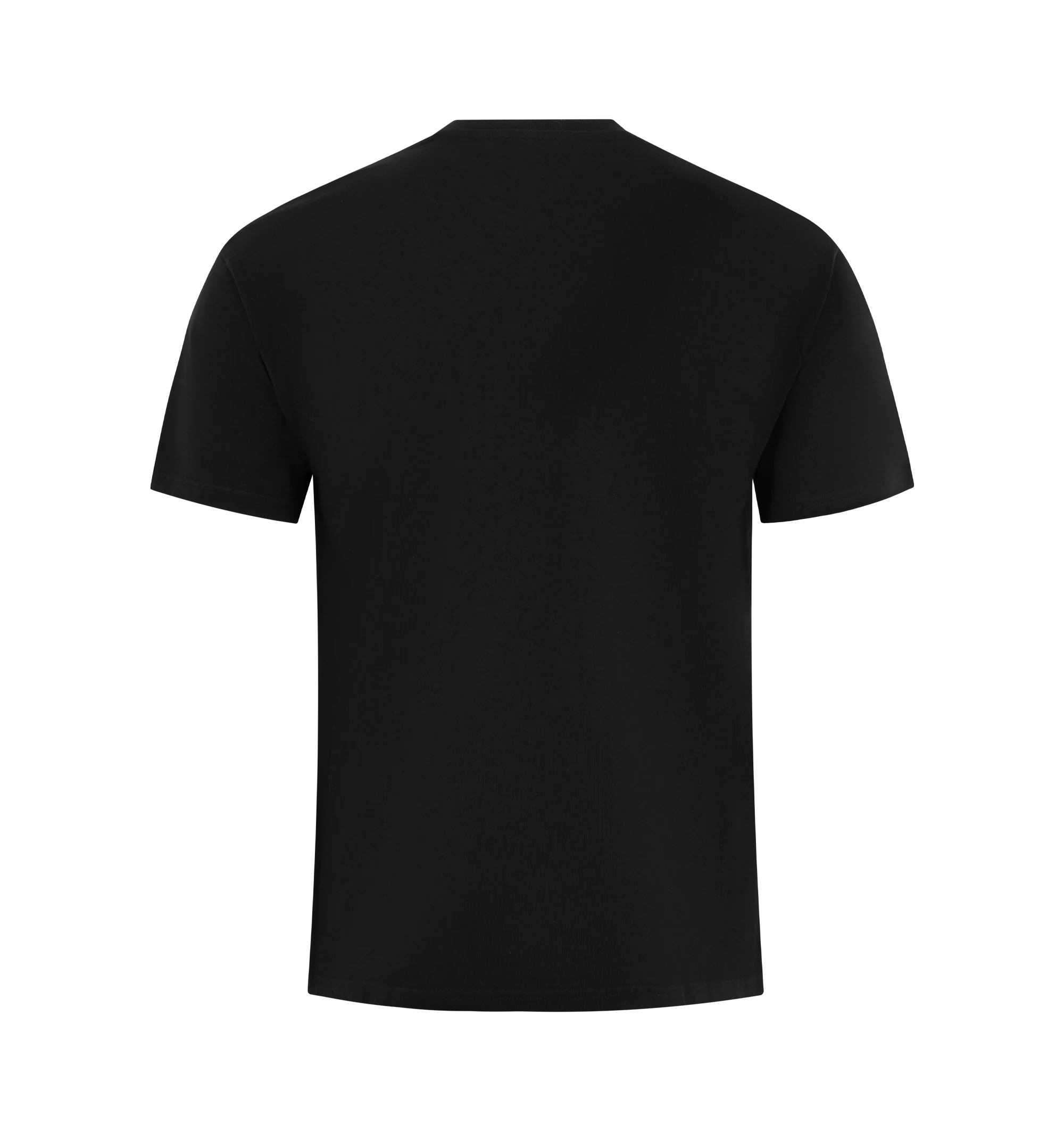 REGULAR FIT TSHIRT (MENS) - Image 2