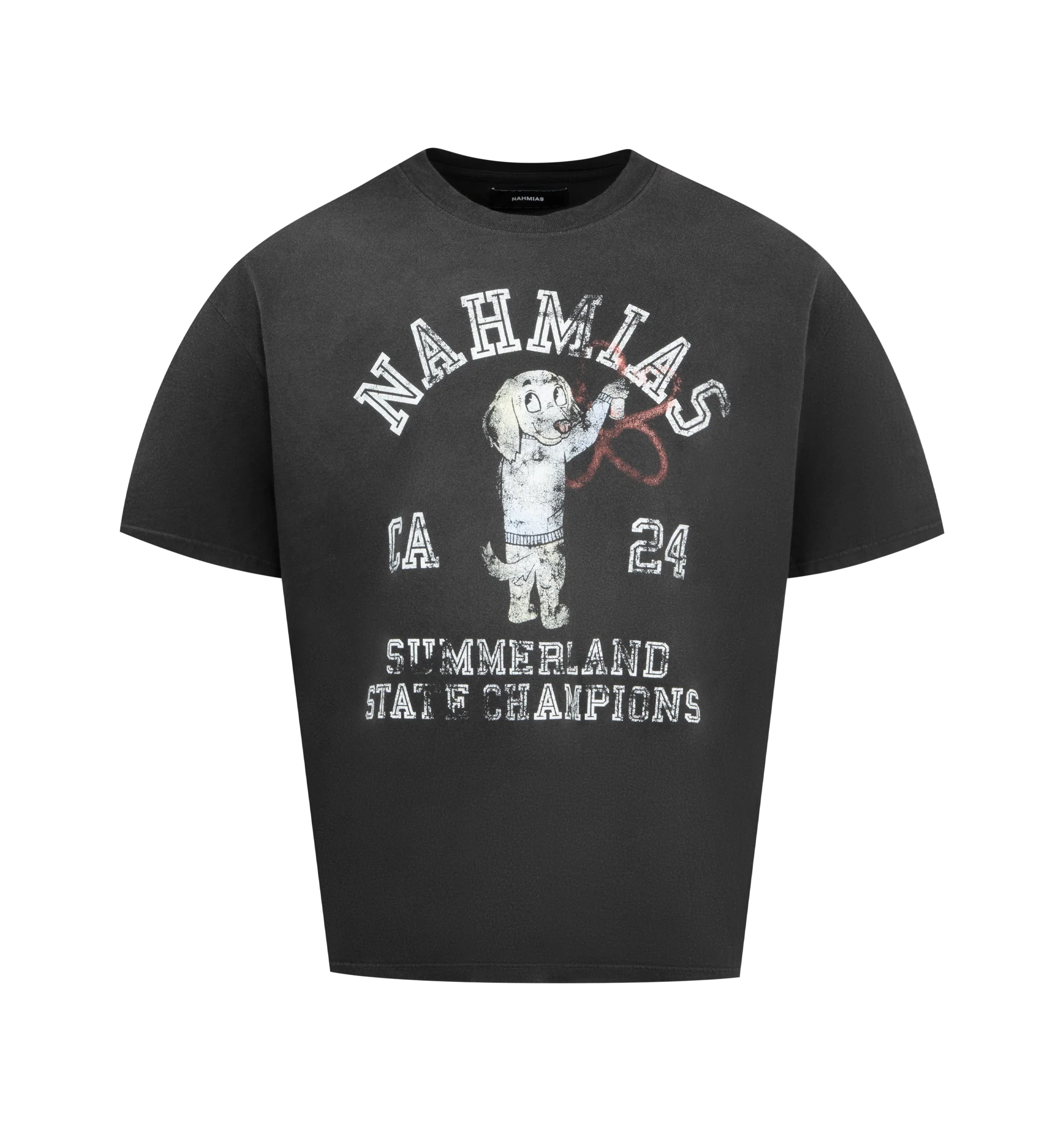 STATE CHAMPIONS BOXY T-SHIRT (MENS)